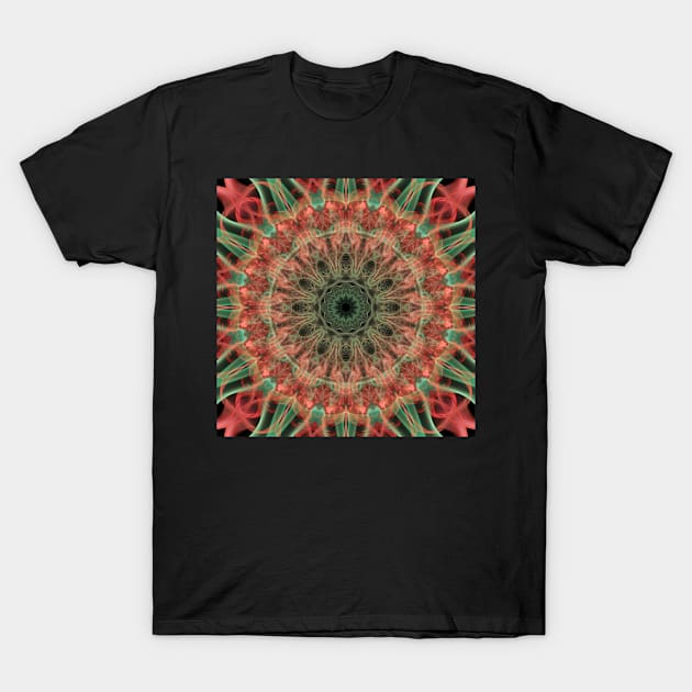 Kaleidoscope of colors T-Shirt by CPAULFELL